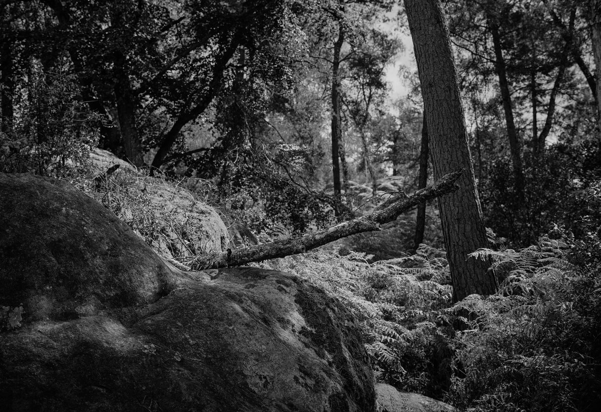 Photograph 9 from Fujica GW690: Is It Sensible to Go Medium Format on a Family Holiday? by Bertram Greenhough