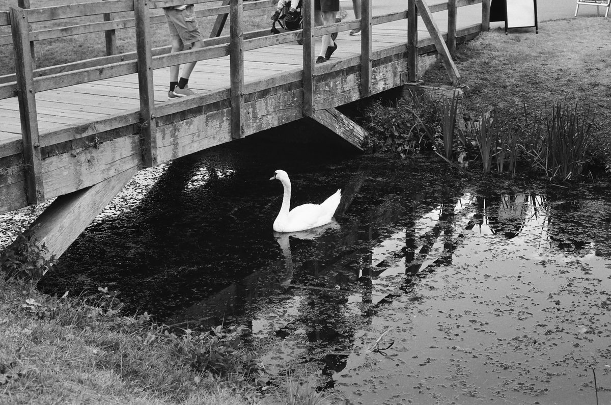 Photograph 2 from Leica M6: A Camera I Could Come Home To by Gareth Gregg