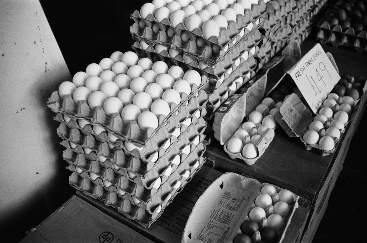 Photograph 4 from The Poor Man's Leica by Christopher Grainger