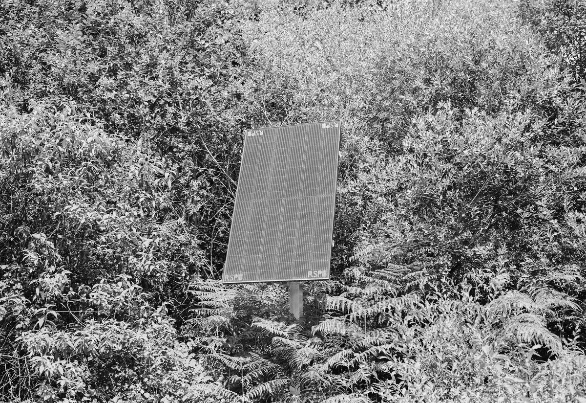 Photograph from “Broadwater Warren - A place I return to.” by Gareth Gregg