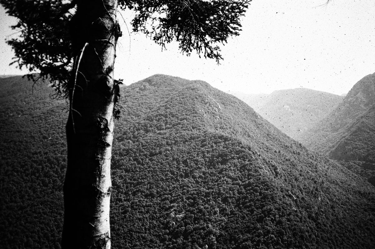 Photograph from “Italian Film” by Nick De Marco